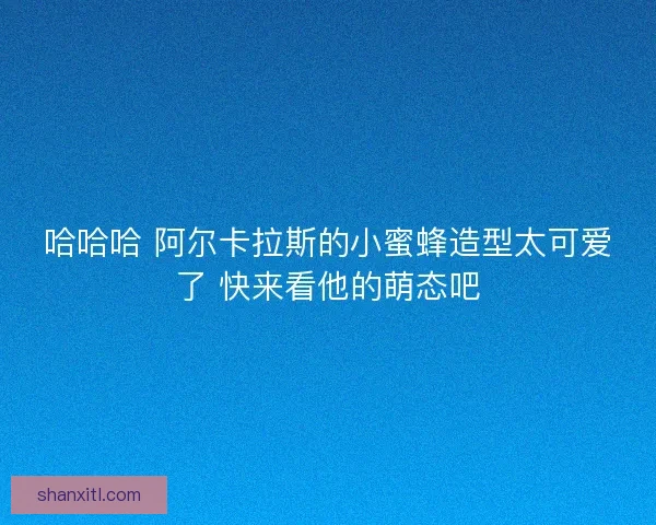 哈哈哈 阿尔卡拉斯的小蜜蜂造型太可爱了 快来看他的萌态吧